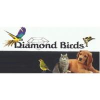 Diamond Birds | Pet Shop | Πάτρα | Λογότυπο