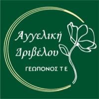 Δριβέλου Αγγελική | Αρχιτεκτονική Κάπων | Πάτρα | Λογότυπο