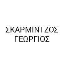 Σκαρμίντζος Γεώργιος | Επισκευές Συσκευών στην Πάτρα, λογότυπο