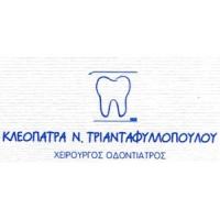 Τριανταφυλλοπούλου Κλεοπάτρα | Οδοντίατρος στην Πάτρα, λογότυπο