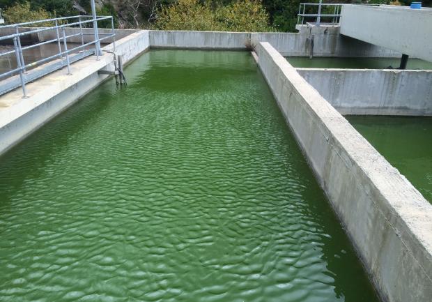 Green Technologies ΕΠΕ 3