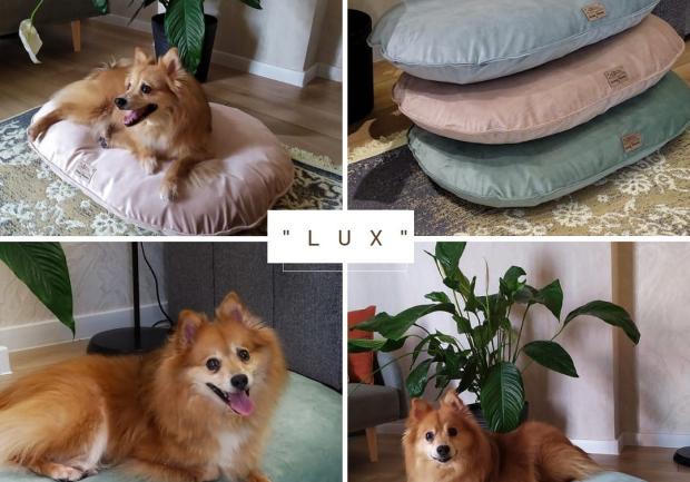 House of Pets 2