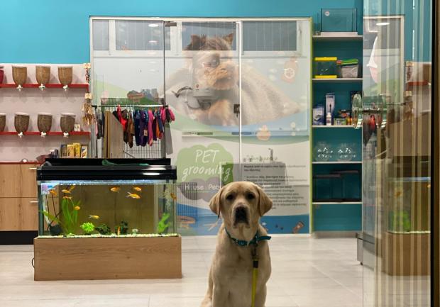 House of Pets 7