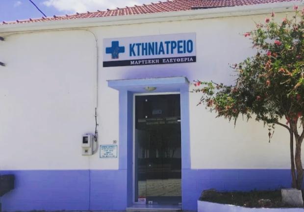 Μαρτσέκη Ελευθερία MSc 4