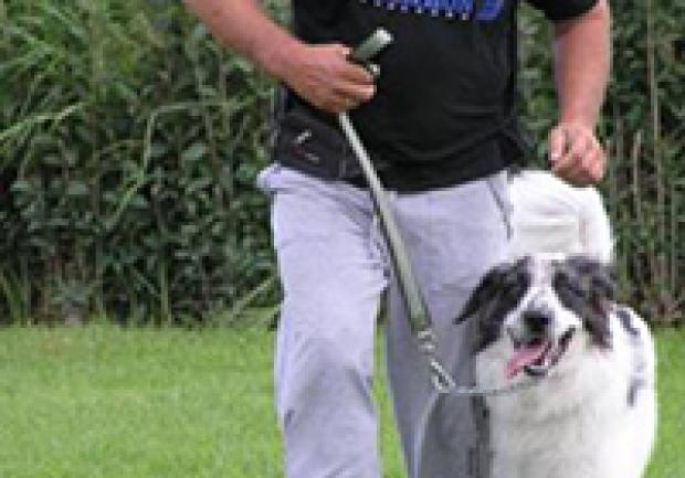 Action Dog | Φύλαξη Κατοικίδιων Ζώων στην Πάτρα, Εκπαίδευση Σκύλου 08