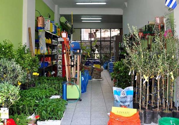 Αγρογαία - Βορδοναράκη Μαρία | Φυτώρια | Πάτρα | Άνθη