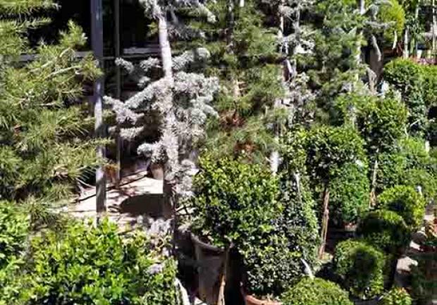 Green Works | Φυτώριο στην Πάτρα, Εγκαταστάσεις 04