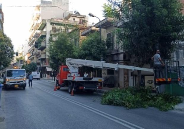 Hellas Green | Αρχιτεκτονική Κήπων & Συντήρηση στην Πάτρα, 1