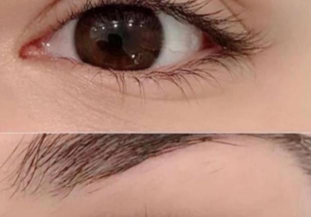 Lash & Brow Techniques | Φρύδια Περιποίηση | Πάτρα 3