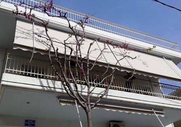 Μακρυπόδης | Τέντες στην Πάτρα, 5