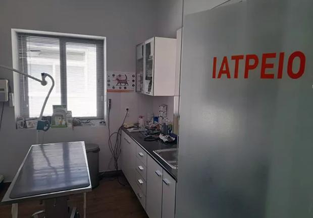 Νιφόρας Παναγιώτης Κτηνίατροι & Κτηνιατρικές Κλινικές Κάτω Αχαΐα 04