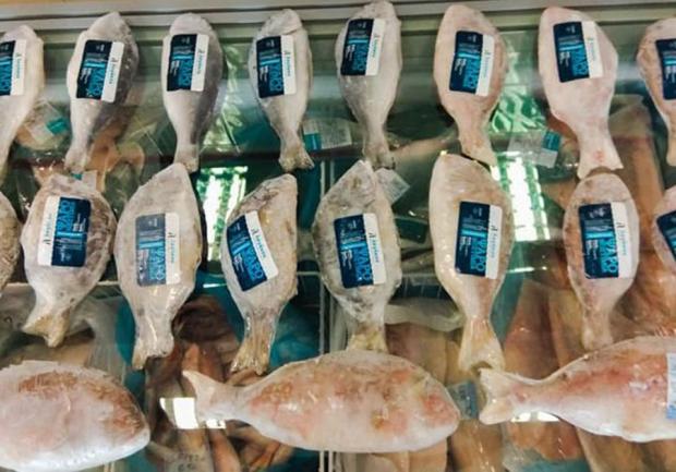 Ψυχογιόπουλος Γεώργιος Ε.Ε | Τροφοδοσία Χώρων | Πάτρα 05