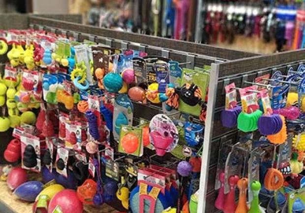 Shopet Accessories | Pet Shop στην Πάτρα, Αξεσουάρ Κατοικίδιων