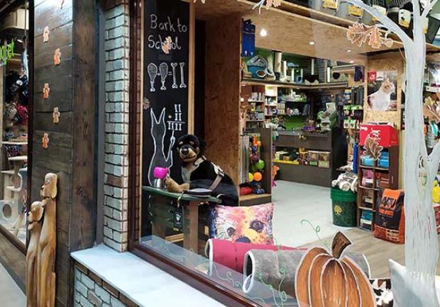 Shopet Accessories | Pet Shop στην Πάτρα, Κρεβάτια Κατοικίδιων