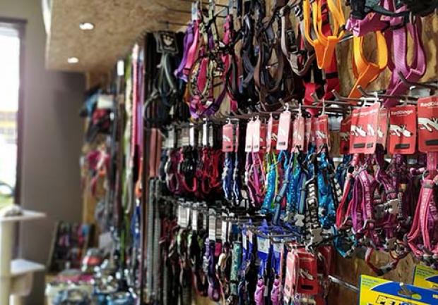 Shopet Accessories | Pet Shop στην Πάτρα, Λουριά