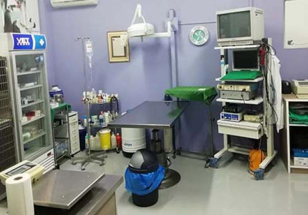 Vet Cross - Παπαγεωργίου Σπυρίδων | Κτηνιατρείο στην Πάτρα, Εγκαταστάσεις 02