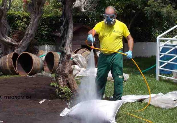 Vita Υγειονομική | Απολυμάνσεις στην Πάτρα, καταπολέμηση ψύλλων