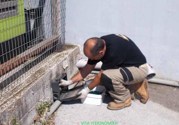 Vita Υγειονομική | Μυοκτονίες στην Πάτρα